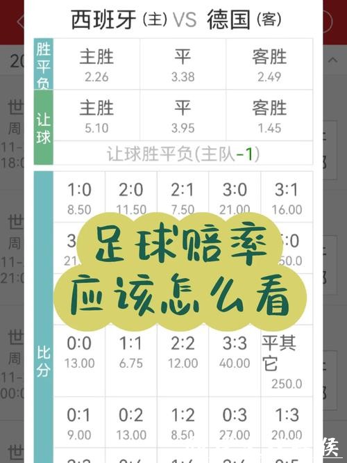 世界杯下注：了解各队赔率与分析